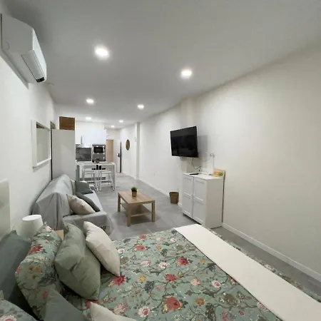 Apartment Centro Estudio Precioso 4 *